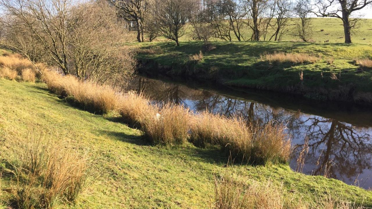 Ingledale Apartment, Ingleton, Yorkshire Dales National Park, Famous Three Peaks, Near The Lake District, Pets Are Welcome Инглтон Экстерьер фото
